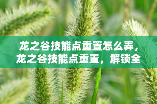 龙之谷技能点重置怎么弄图片