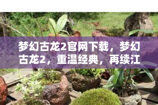 梦幻古龙2官网下载图片