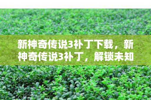 新神奇传说3补丁下载图片