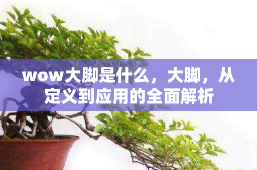 从定义到应用的全面解析图片