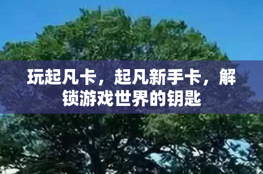 解锁游戏世界的钥匙图片