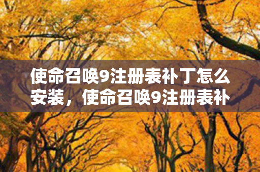 使命召唤9注册表补丁怎么安装图片