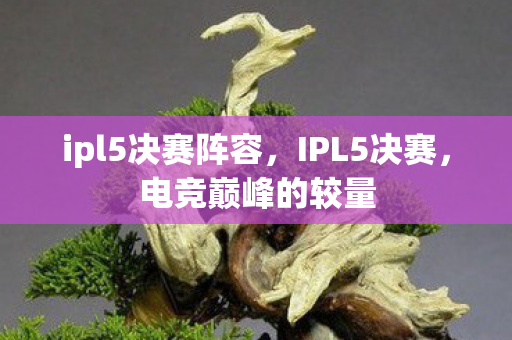 ipl5决赛阵容图片