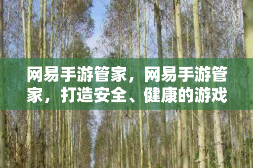 健康的游戏环境图片