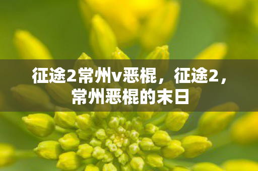 征途2常州v恶棍图片