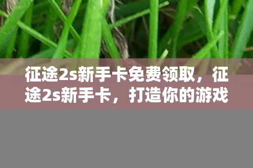 征途2s新手卡免费领取图片