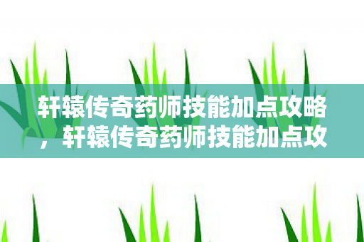 轩辕传奇药师技能加点攻略图片