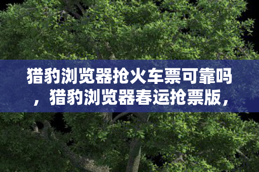 猎豹浏览器抢火车票可靠吗图片