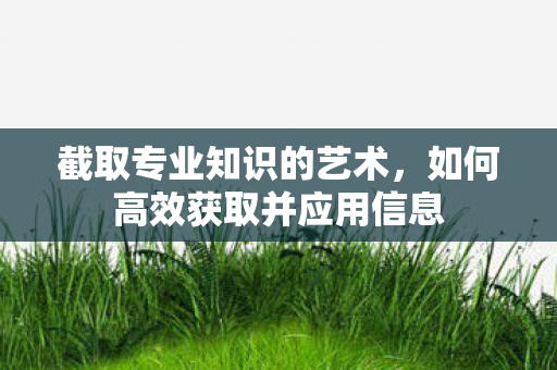 如何高效获取并应用信息图片