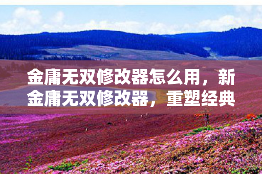 金庸无双修改器怎么用图片