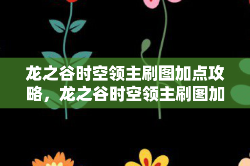 龙之谷时空领主刷图加点攻略图片