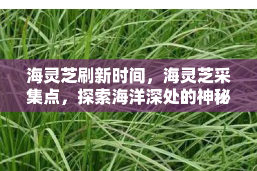 探索海洋深处的神秘宝藏图片