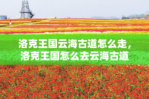 洛克王国云海古道怎么走图片