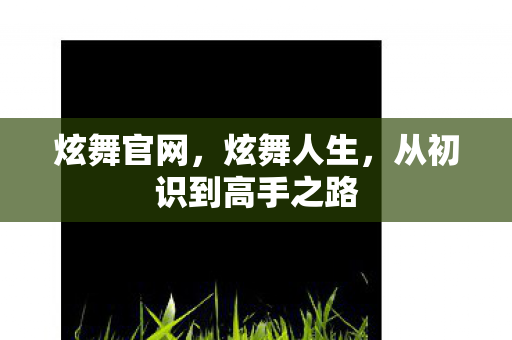 炫舞官网，炫舞人生，从初识到高手之路