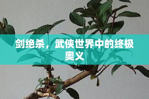 武侠世界中的终极奥义图片