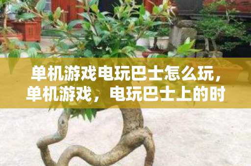 单机游戏电玩巴士怎么玩图片