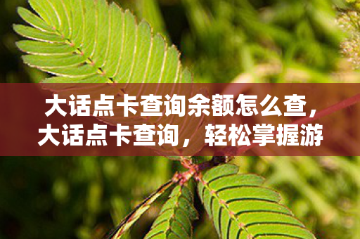 大话点卡查询余额怎么查图片