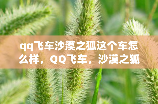 qq飞车沙漠之狐这个车怎么样图片