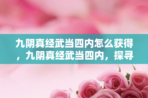 九阴真经武当四内怎么获得图片