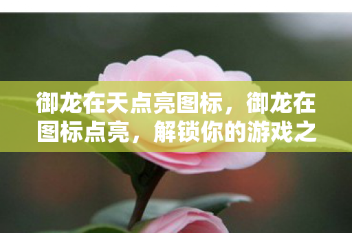 御龙在天点亮图标图片