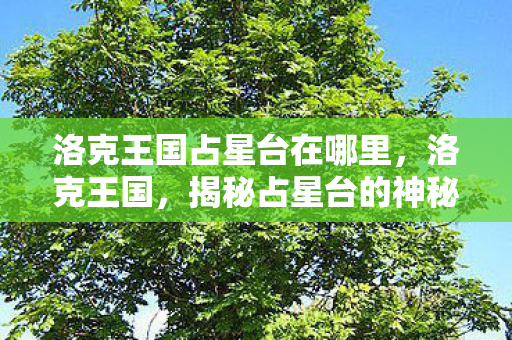 洛克王国占星台在哪里图片