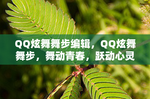 QQ炫舞舞步编辑，QQ炫舞舞步，舞动青春，跃动心灵