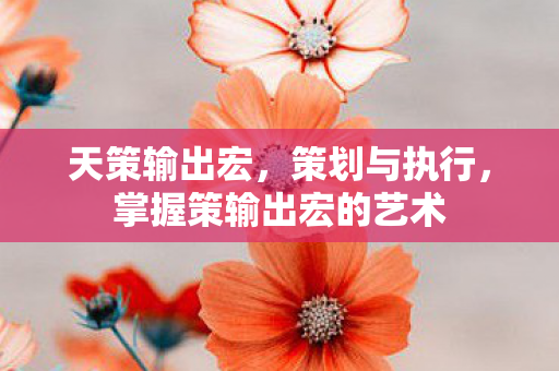 掌握策输出宏的艺术图片