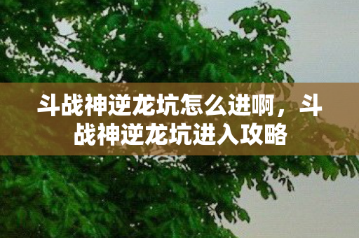 斗战神逆龙坑怎么进啊图片