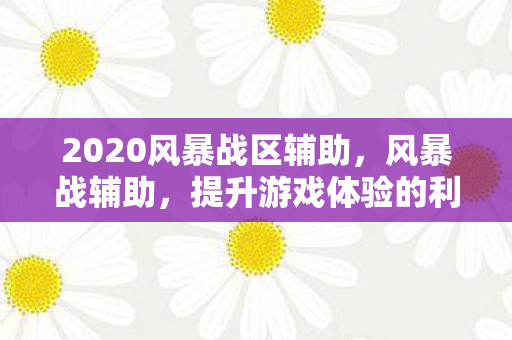 2020风暴战区辅助图片