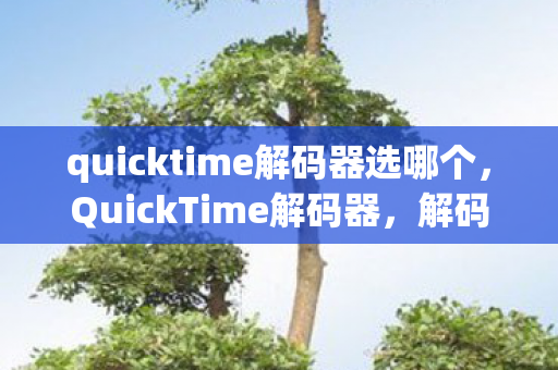 quicktime解码器选哪个图片