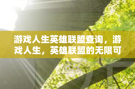 游戏人生英雄联盟查询图片