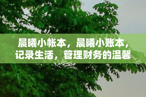 管理财务的温馨指南图片