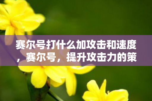 赛尔号打什么加攻击和速度图片