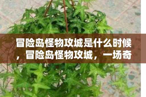 冒险岛怪物攻城是什么时候图片