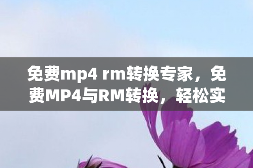 轻松实现视频格式转换的秘诀图片