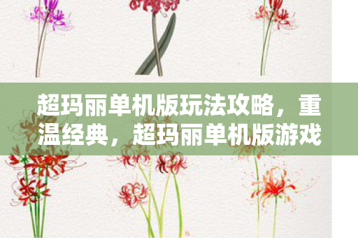 超玛丽单机版游戏攻略与回忆图片