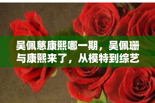 从模特到综艺红人的华丽转身图片