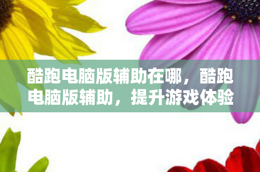 酷跑电脑版辅助在哪图片