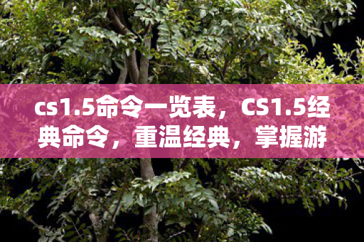 5命令一览表图片