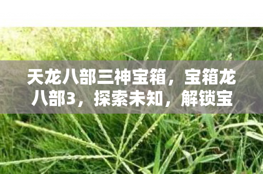 解锁宝藏的奇幻之旅图片