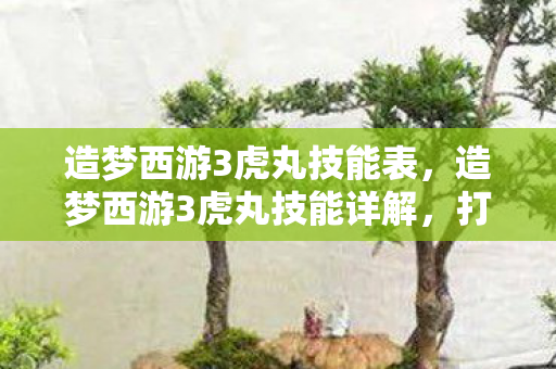 造梦西游3虎丸技能详解图片