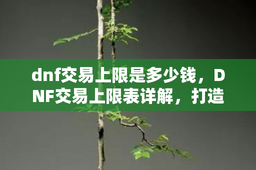 dnf交易上限是多少钱图片