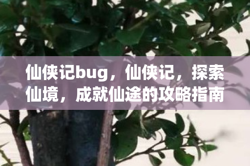 成就仙途的攻略指南图片