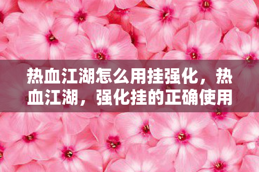 强化挂的正确使用与风险规避图片