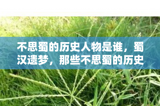 不思蜀的历史人物是谁图片