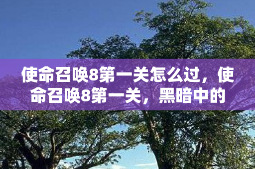 使命召唤8第一关怎么过图片