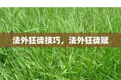 法外狂徒技巧图片