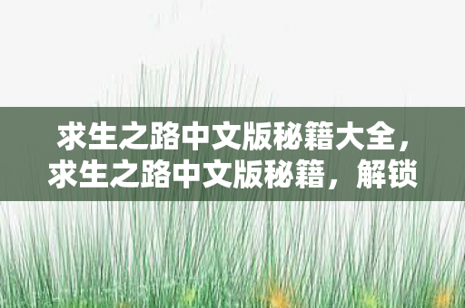 求生之路中文版秘籍大全图片