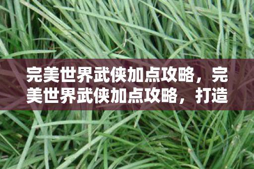 完美世界武侠加点攻略图片