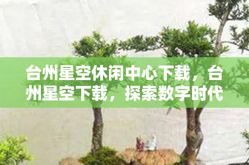 探索数字时代的娱乐新纪元图片